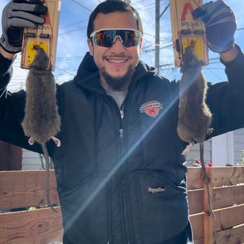 Superior Pest Solutions - Don't let these rodents take over your home, especially during these cold months. Superior pest solutions is here to help. - Pest Control Near Me - Chicago, Illinois Superior Pest Solutions - Don't let these rodents take over your home, especially during these cold months. Superior pest solutions is here to help. - Pest Control Near Me - Chicago, Illinois