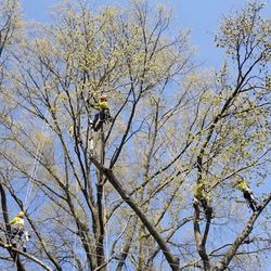 Stratton landscaping