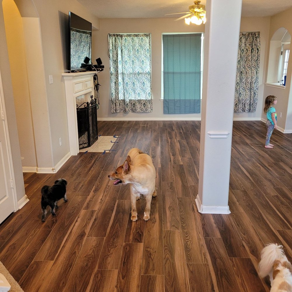 Dean Carpet - New vinyl flooring - living room. - Carpeting Near Me - Pasadena, Texas