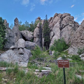 Sylvan Lake - revegetation in progress - Hiking Near Me - Custer, South Dakota Sylvan Lake - revegetation in progress - Hiking Near Me - Custer, South Dakota