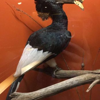 Springfield Museums - Museums Near Me - Springfield, Massachusetts Springfield Museums - Museums Near Me - Springfield, Massachusetts