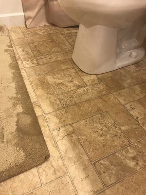 Tom The Plumber Logo