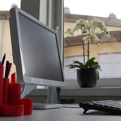 Dtp Akademie