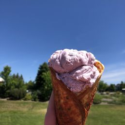 Waffle Cones