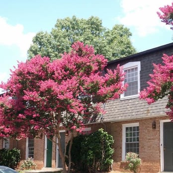 The Fields Archdale Station - Apartments Near Me - Charlotte, North Carolina The Fields Archdale Station - Apartments Near Me - Charlotte, North Carolina