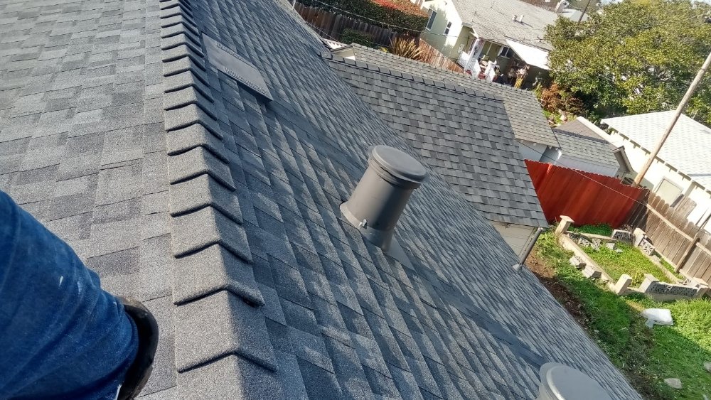 Slide of Roofing & Garden