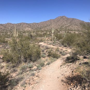 Lost Dog Wash Trail - Hiking Near Me - Scottsdale, Arizona Lost Dog Wash Trail - Hiking Near Me - Scottsdale, Arizona
