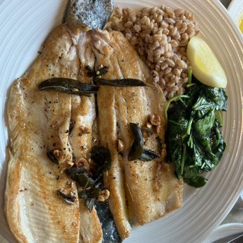 Terrace Room - Manistee River Rainbow Trout - Italian Near Me - New Buffalo, Michigan