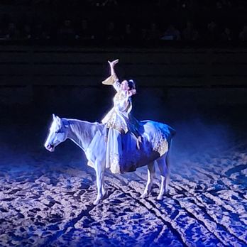 Dolly Parton's Stampede - Horse and rider. - Performing Arts Near Me - Branson, Missouri