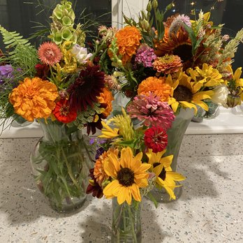 Cider Hill Farm - One vase we arranged from the flowers we picked - Pick Your Own Farms Near Me - Amesbury, Massachusetts Cider Hill Farm - One vase we arranged from the flowers we picked - Pick Your Own Farms Near Me - Amesbury, Massachusetts