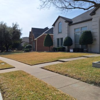 Jose Lawn Service - Lawn Services Near Me - Royse City, Texas Jose Lawn Service - Lawn Services Near Me - Royse City, Texas