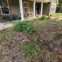 Snyder Landscape And Cleanup