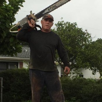 The Tree Feller - Tree Services Near Me - Largo, Florida The Tree Feller - Tree Services Near Me - Largo, Florida