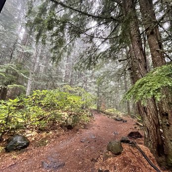 Mirror Lake Trail - Parks Near Me - Zigzag, Oregon