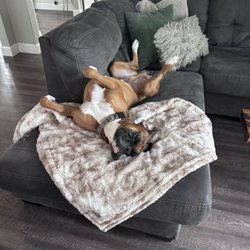 Georgia Floors Direct - Beautiful luxury vinyl plank in driftwood color. Perfect for my home and very durable for my dogs.