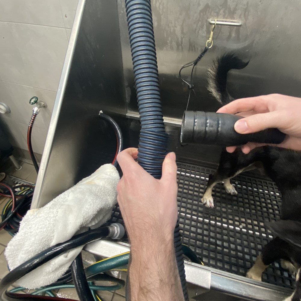 Pet Supplies Plus - Spring - Attachments come off - Pet Groomers Near Me - Spring, Texas