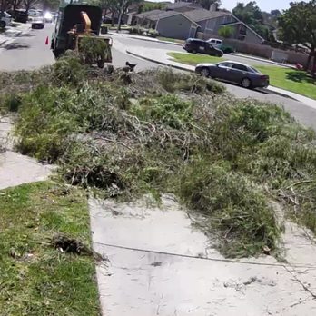Dario Tree Trimming - Tree Services Near Me - Sylmar, California