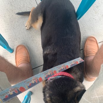 Radiant Beer Co. - Scout loves this place! - Breweries Near Me - Anaheim, California Radiant Beer Co. - Scout loves this place! - Breweries Near Me - Anaheim, California