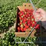 Photo of Berry Hill Farm