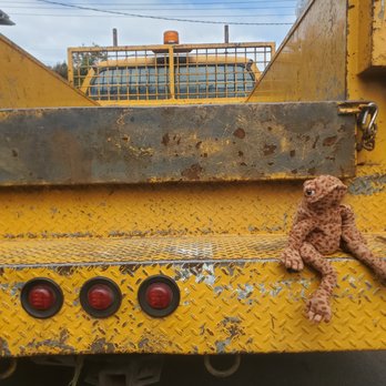 Frog & Toad Hauling - Frog & Toad's mascot, Walnut, taking a leisurely moment on the back of our utility truck, Duckie! - Junk Removal & Hauling Near Me Frog & Toad Hauling - Frog & Toad's mascot, Walnut, taking a leisurely moment on the back of our utility truck, Duckie! - Junk Removal & Hauling Near Me