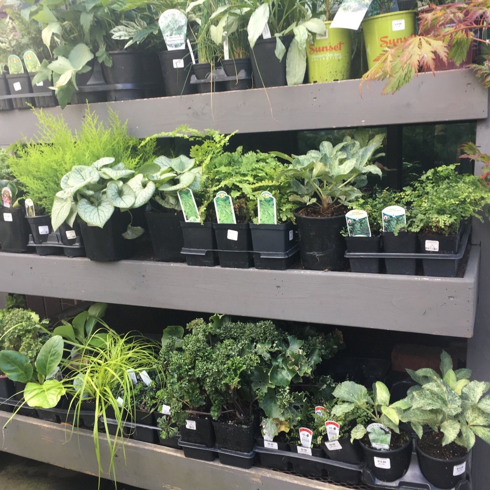 Ravenna Gardens - Nurseries & Gardening Near Me - Seattle, Washington