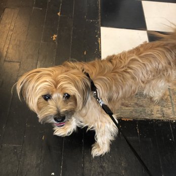 the dog chef - August approves - Pet Stores Near Me - Baltimore, Maryland