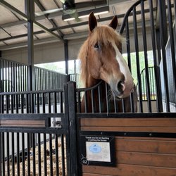 Tri-Circle-D Ranch
