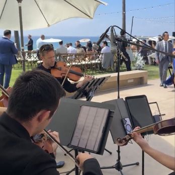 Caprice Strings - Musicians Near Me