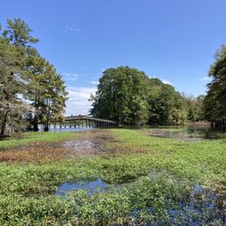 Martin Dies Jr State Park