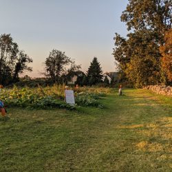 Deeply Rooted Farms