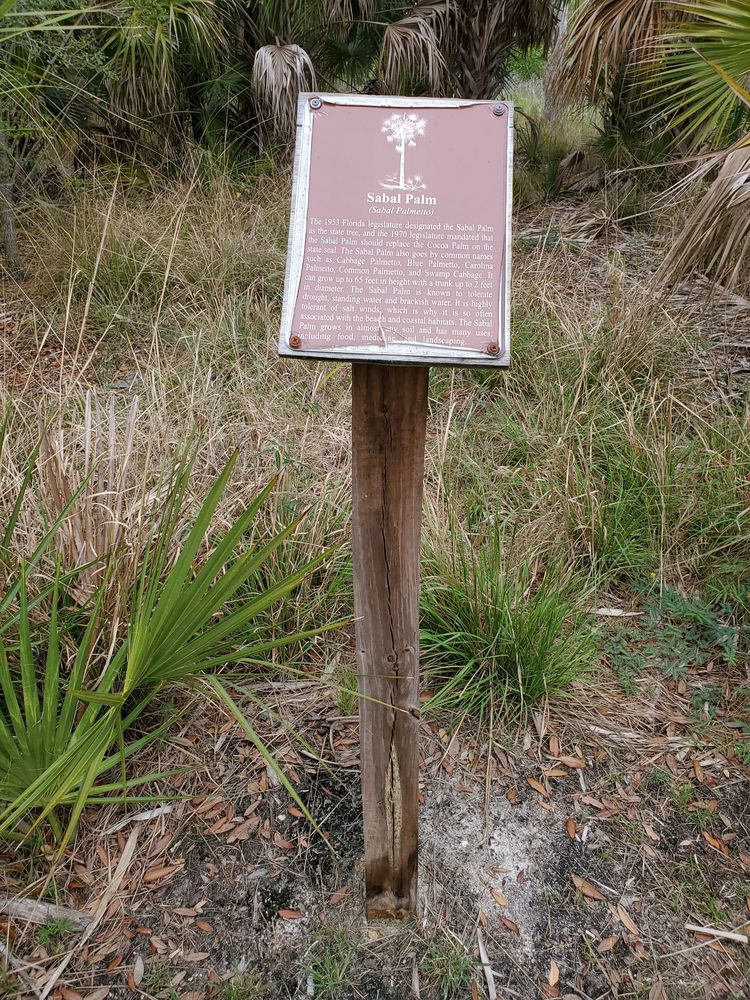 BOY SCOUT PRESERVE Updated May 2024 38 Photos 4230 Green Key Rd