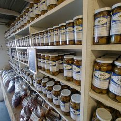 Armstrong Olives - What Variety