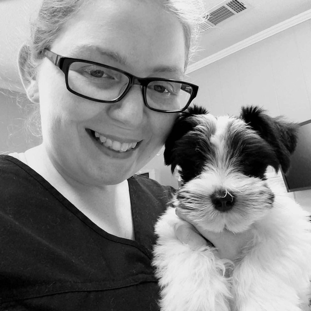 SHA’S PET CARE Updated April 2024 Request a Quote Guyton,