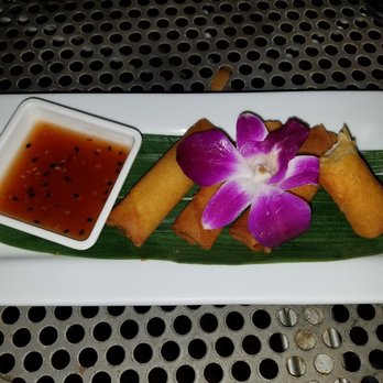 Volcanic Sushi + Sake - Spring rolls - Sushi Bars Near Me - Gainesville, Florida