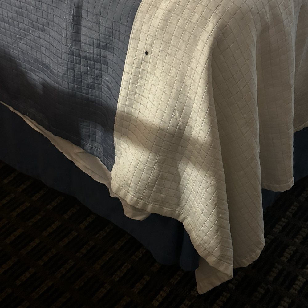 Days Inn by Wyndham Morehead - Cigarette burn as soon as you walk in - Hotels Near Me - Morehead, Kentucky