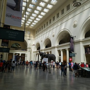 Field Museum - Main entrance inside! Tons to do here - Museums Near Me - Chicago, Illinois Field Museum - Main entrance inside! Tons to do here - Museums Near Me - Chicago, Illinois