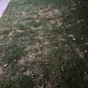 Arbor-Nomics Turf, Inc. Lawn Care Services & Grass Treatment - Pest Control Near Me - Norcross, Georgia