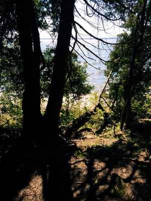 Whitefish Dunes State Park by null