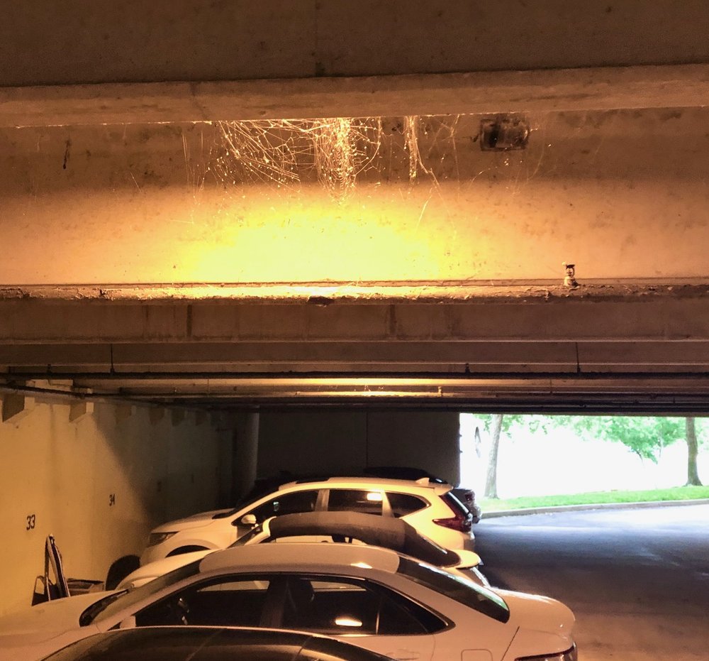 LAKE MIRROR TOWER APARTMENTS Updated September 2024 308 E Lemon St