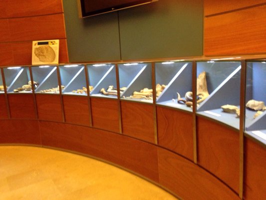 Musei nazionali di Matera - Sede Ridola by null