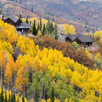 Wasatch Property Managers - Property Management Near Me Wasatch Property Managers - Property Management Near Me