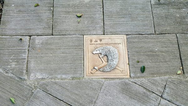 Kenting National Forest Recreation Area by null