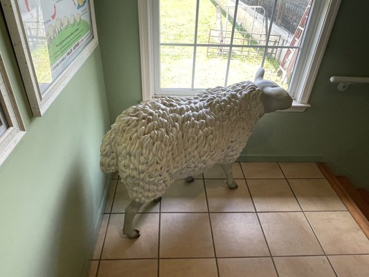 Valley Shepherd Creamery by null