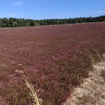 Makepeace Farms - Bakeries Near Me - Wareham, Massachusetts