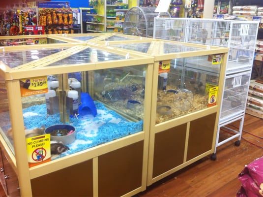 Pet Supermarket