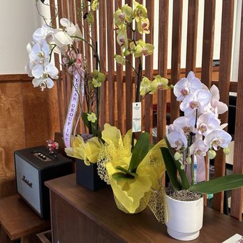 Cui-daore - Sushi Bars Near Me - San Diego, California