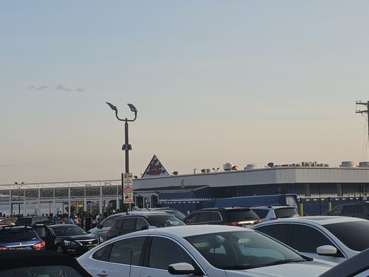 Sammy's Fish Box by null