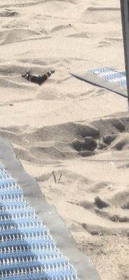 Jacob Riis Park (Gateway National Recreation Area) by null