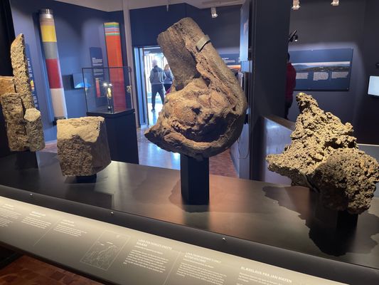 Arctic University Museum of Norway by null