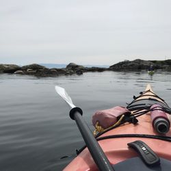Kelp Reef Adventures